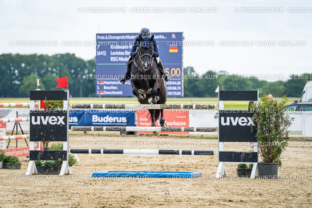 DSC06806 | Pferdegrafie