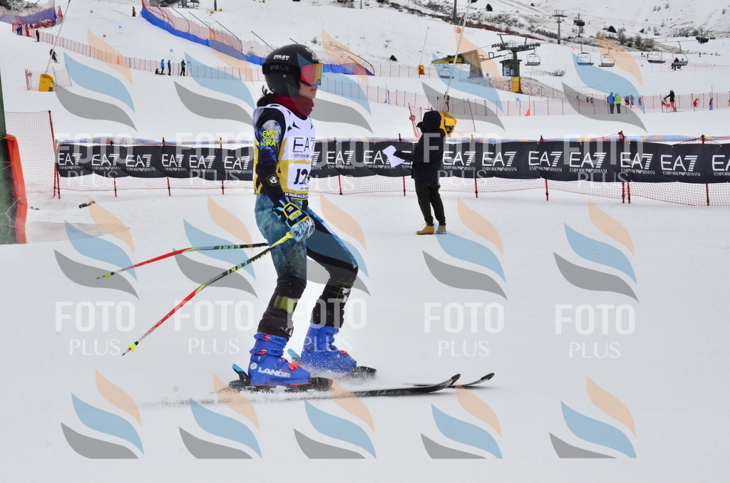 _ELE3645 | holidayphoto