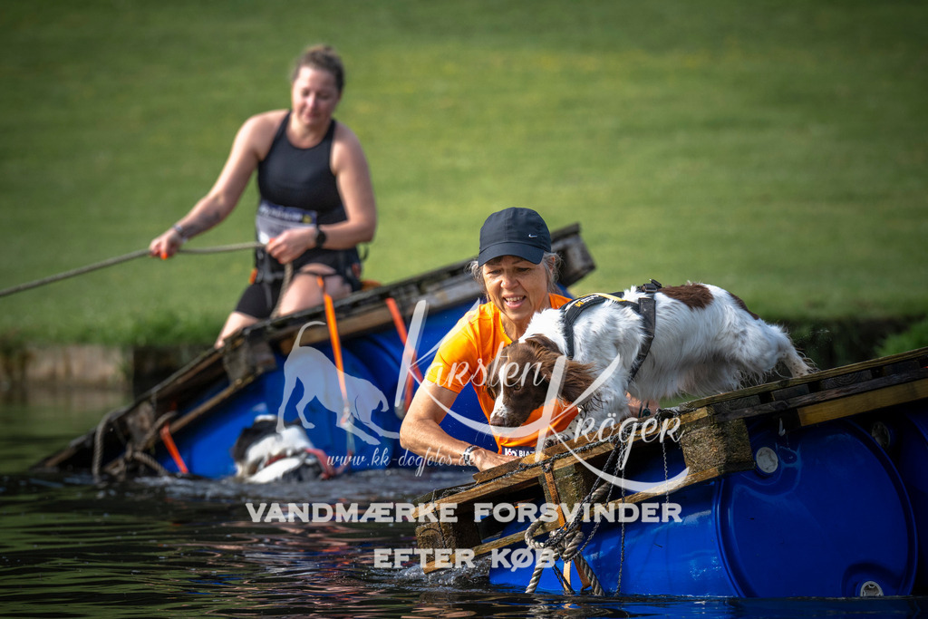 _ZZ937760708 | kk-dogfotos