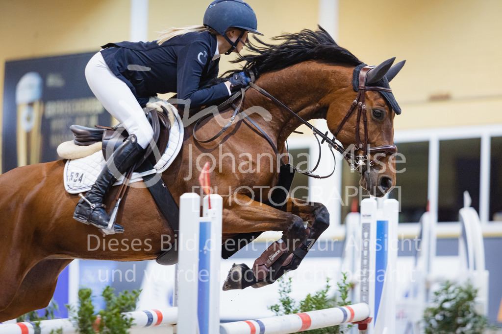 221112_Warstein_L-Spr-187 | Deine schönsten Turniermomente als professionelle Fotos! Entdecke hochwertige Pferdesport-Fotografie im Online-Shop. Jetzt Fotos finden & bestellen!