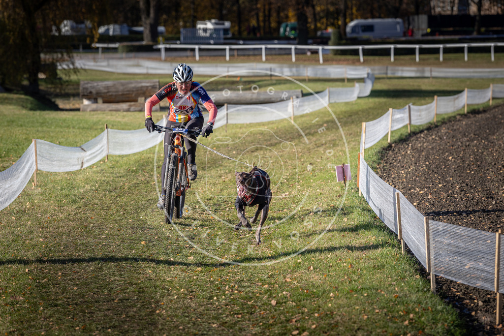 CaniXpix_DV3A4429 | Hundefotografie, Tierfotograf, Pfotenfotografie, Fotoshooting Hund, Hunde Portrait, Hundesport, Hundeportraits, Heideshooting, Hunde, Sportfotograf, Hundefotograf, Turnierhundsport, THS,  - Realisiert mit Pictrs.com