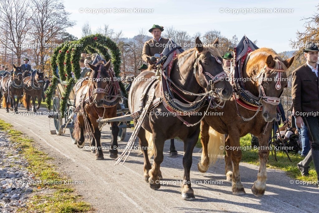 LBT24-1201 | foto-bettina-krinner - Realisiert mit Pictrs.com