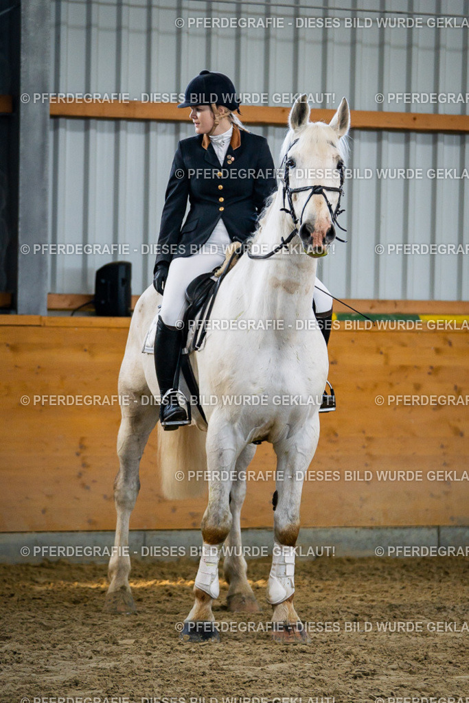 DSC00774 | Pferdegrafie