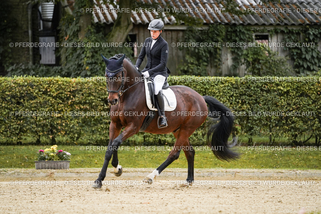 DSC06441 | Pferdegrafie