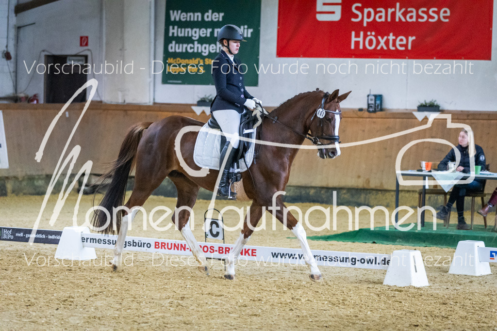 Sth-WBO25-EDr-062 | MomenTaufnahmen Pferdesportfotos