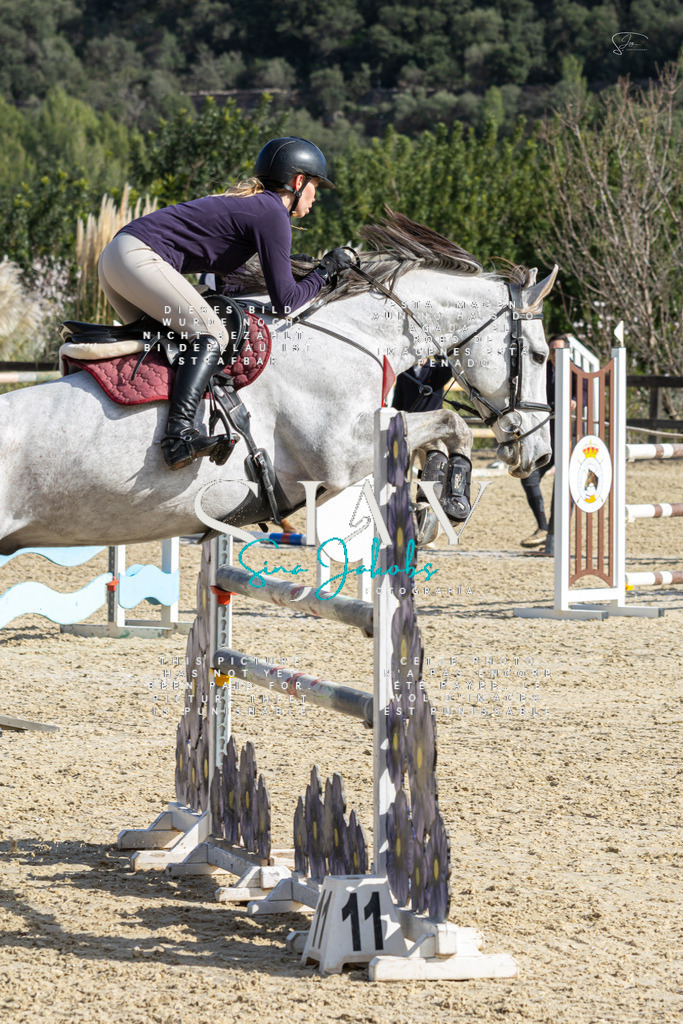 IMG_4383 | s-jay-photography - Realisiert mit Pictrs.com