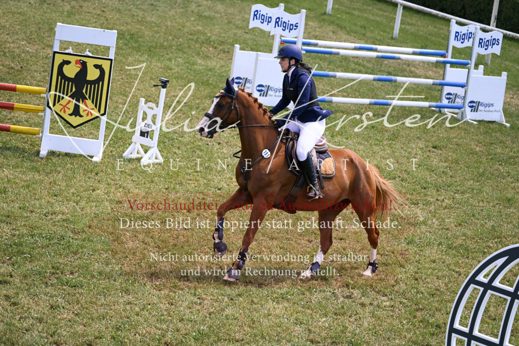 DSC_9891 | Pferde- und Turnierfotografie in Westsachsen. Pferdeportraits, Auftragszeichnungen und intuitive Kunst.