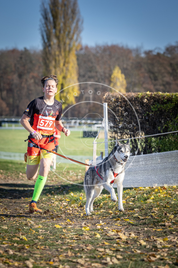 CaniXpix_DV3A9021 | Hundefotografie, Tierfotograf, Pfotenfotografie, Fotoshooting Hund, Hunde Portrait, Hundesport, Hundeportraits, Heideshooting, Hunde, Sportfotograf, Hundefotograf, Turnierhundsport, THS,  - Realisiert mit Pictrs.com