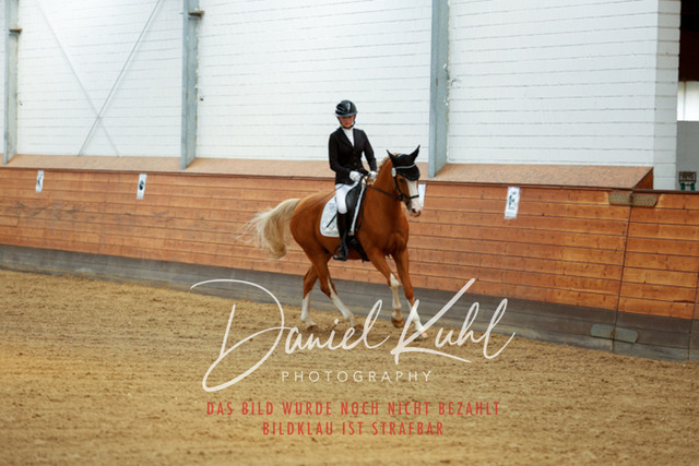 _62_5228 | Turniersportfotografie; Pferdefotografie; Dressurfotografie