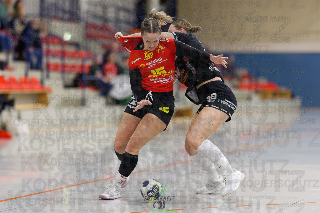 Frauen Regionalliga (HHV); HSG Wettenberg - HSG Twistetal | Frauen Regionalliga (HHV); HSG Wettenberg - HSG Twistetal am 08.11.2025 in Launsbach (Wettenberg) (Halle GS Launsbach (Wettenberg))Photo © 2025 - Jörg Heinrich - Realisiert mit Pictrs.com
