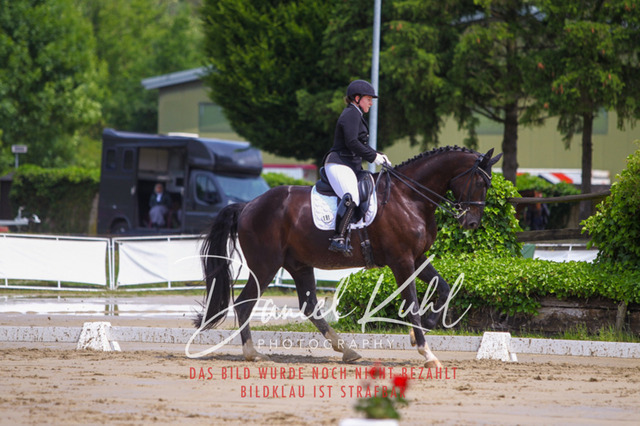 DKP40587 | Turniersportfotografie; Pferdefotografie; Dressurfotografie