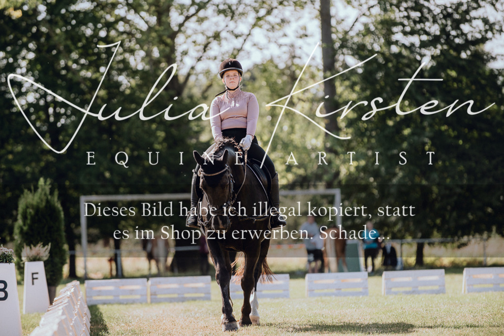 DSC_7110 | Pferde- und Turnierfotografie in Westsachsen. Pferdeportraits, Auftragszeichnungen und intuitive Kunst.