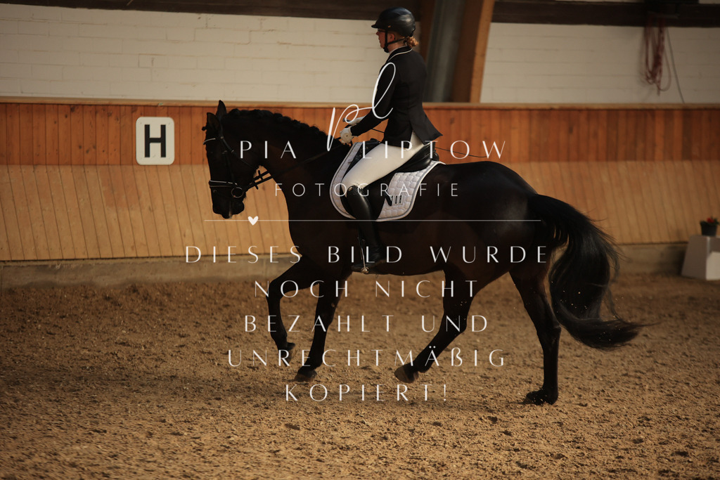 IMGT4575 | pl-fotografie