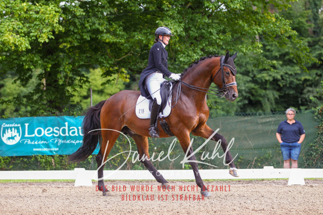 DKP41374 | Turniersportfotografie; Pferdefotografie; Dressurfotografie