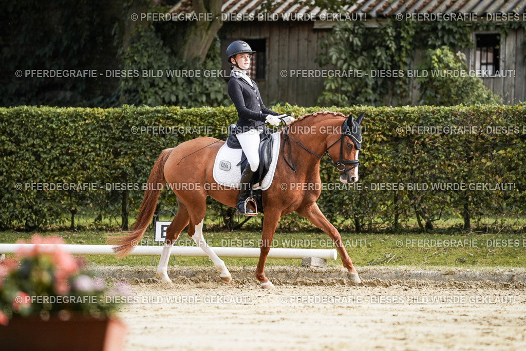 DSC05901 | Pferdegrafie