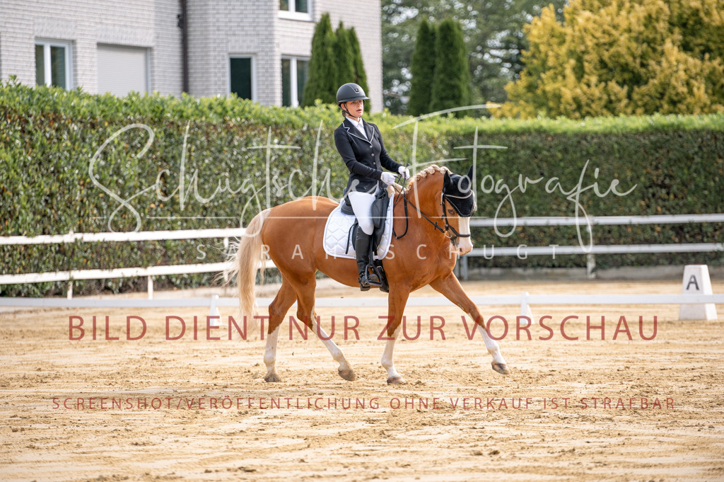 Schugtsche-Aluta25-40.DressurprfA_-135 | Schugtsche Fotografie - Realisiert mit Pictrs.com