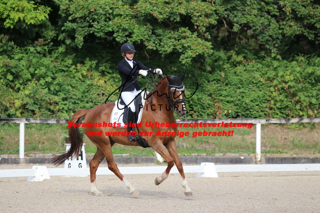 IMG_6309 | lmwpictures - Realisiert mit Pictrs.com