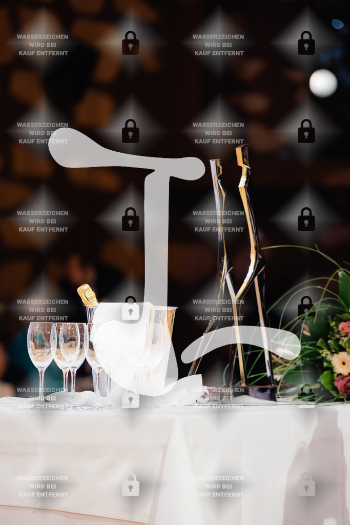 Goldstadtpokal 2025 - WDSF World Open Latin Siegerehrung-2025-01-25-2600 | Webshop for digital downloads and prints of dance sport, event & show photographer Julian Link - Realisiert mit Pictrs.com