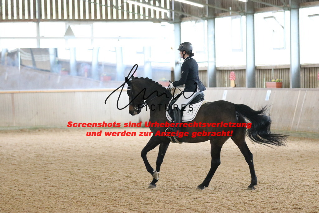 IMG_9566 | lmwpictures - Realisiert mit Pictrs.com