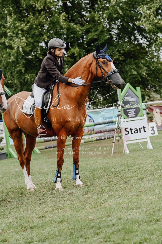 DSC_7123 | Pferde- und Turnierfotografie in Westsachsen. Pferdeportraits, Auftragszeichnungen und intuitive Kunst.