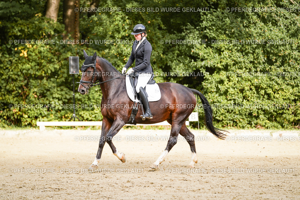 DSC09621 | Pferdegrafie