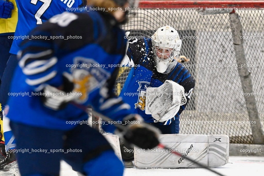 BST_5415 | hockey sports photos, Pressefotos, Sportfotos, hockey247, win 2day icehockeyleague, Handball Austria, Floorball Austria, ÖVV, Kärntner Eishockeyverband, KEHV, KFV, Kärntner Fussballverband, Österreichischer Volleyballverband, Alps Hockey League, ÖFB, 