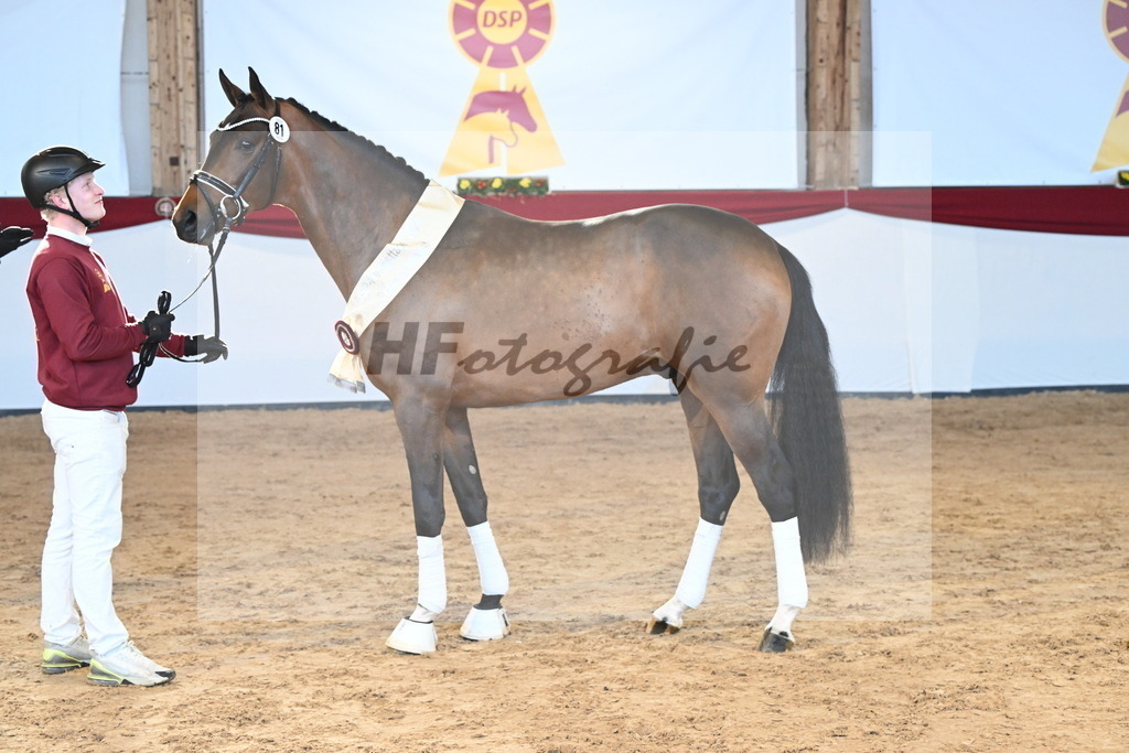 Kat.-Nr. 81 v. Vivino_Freisel_2242927 | hf-fotografie - Realisiert mit Pictrs.com