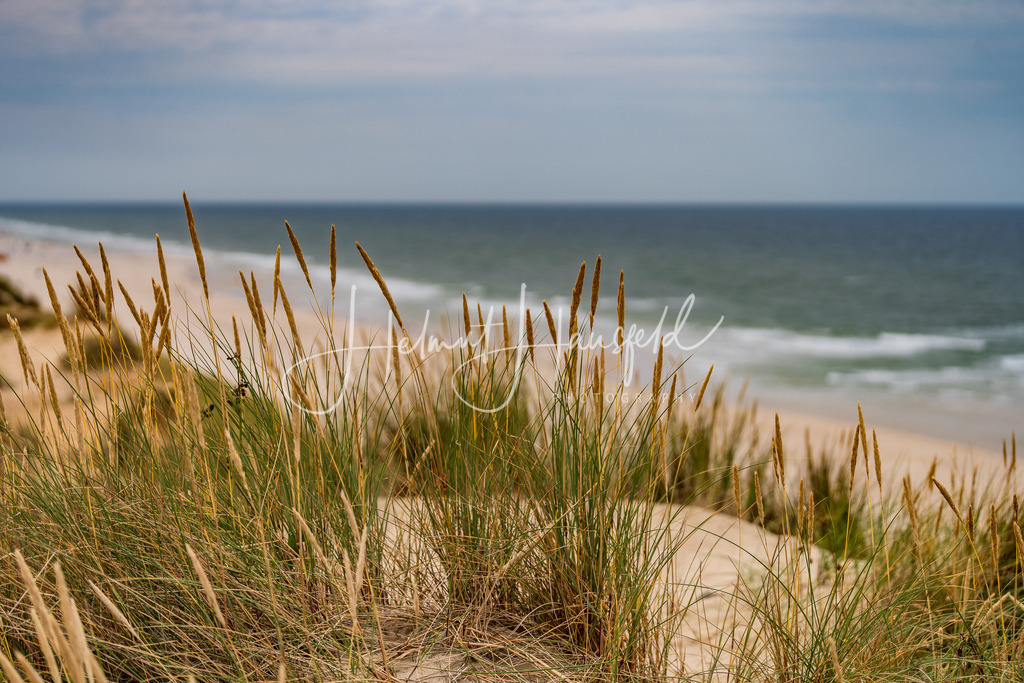 DSC00534 | Landschaftsfotografie, Naturfotografie - Realisiert mit Pictrs.com