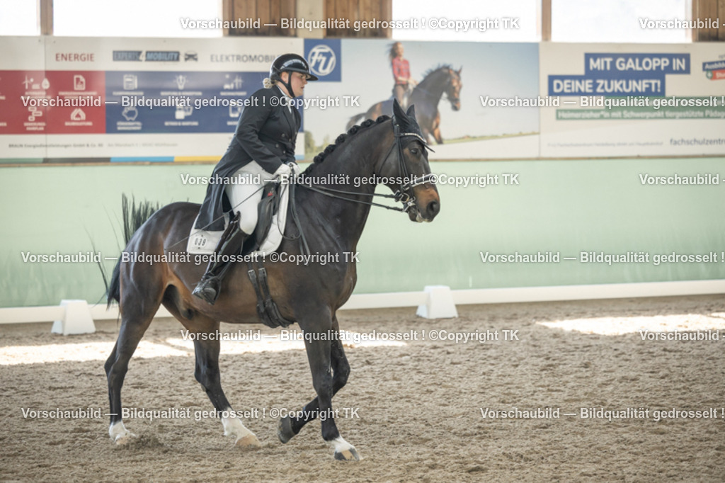 _D5A1918 | Emotionale Pferde- & People-Fotografie rund um Heidelberg, Leimen & Umgebung. Natürliche Fotos von Pferd, Mensch & Familie. Jetzt Termin sichern!