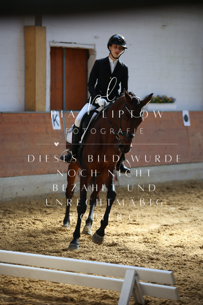 IMGT6442 | pl-fotografie