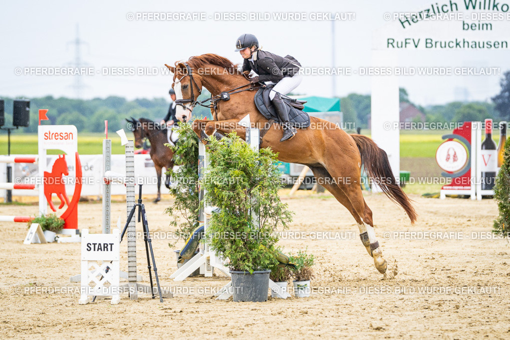 DSC07216 | Pferdegrafie