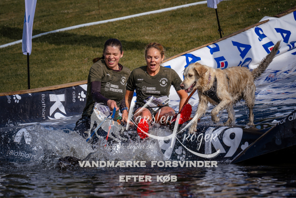 _ZZ948660720 | kk-dogfotos