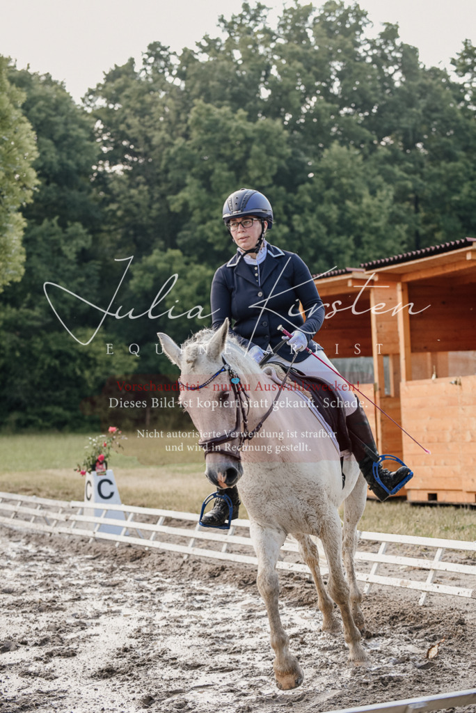 DSC_7961 | Pferde- und Turnierfotografie in Westsachsen. Pferdeportraits, Auftragszeichnungen und intuitive Kunst.