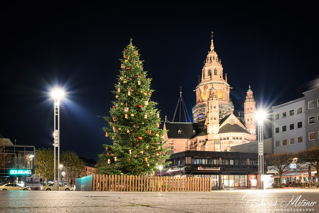 Der Mainzer Dom | Der Mainzer Dom