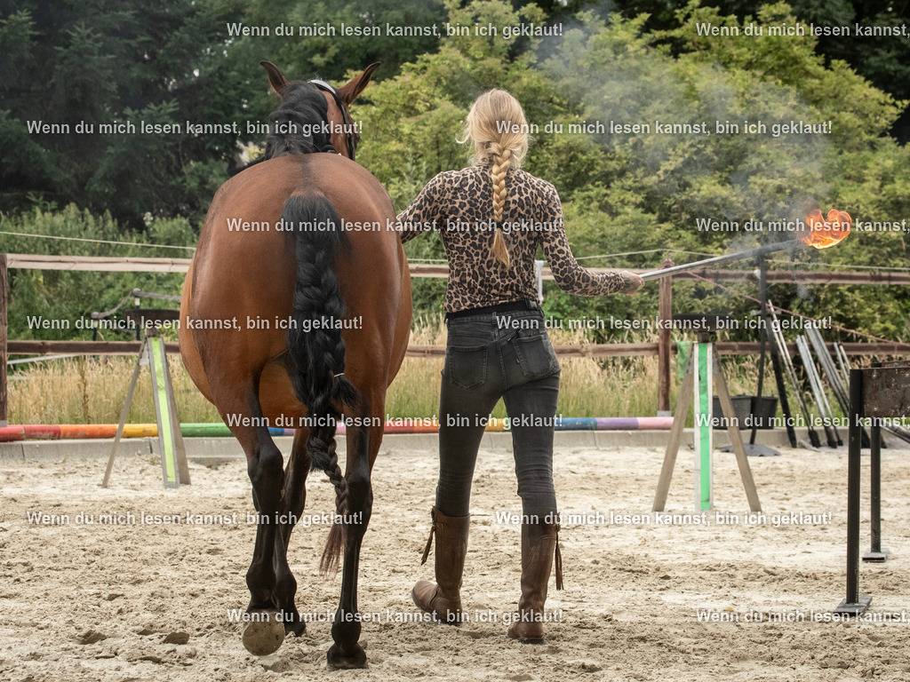 598A7586 | photographylinaismer - Realisiert mit Pictrs.com