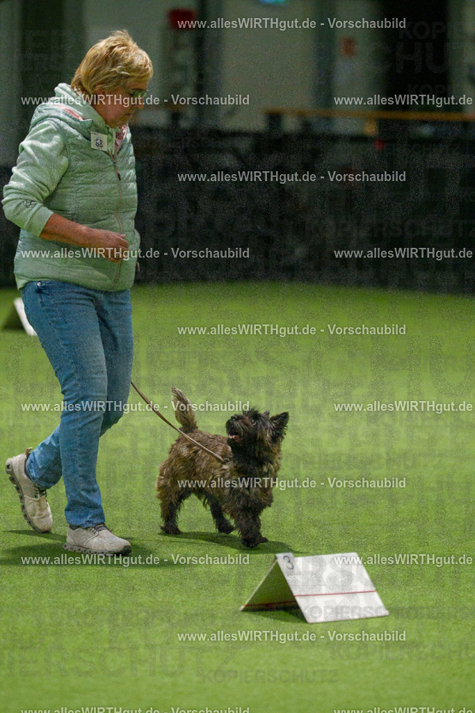 7R508501 | Professionelle Tierfotografie in Mönchengladbach von Daniel Wirth (allesWIRTHgut). Liebevolle & natürliche Bilder von Hunden & Katzen für unvergessliche Erinnerungen.