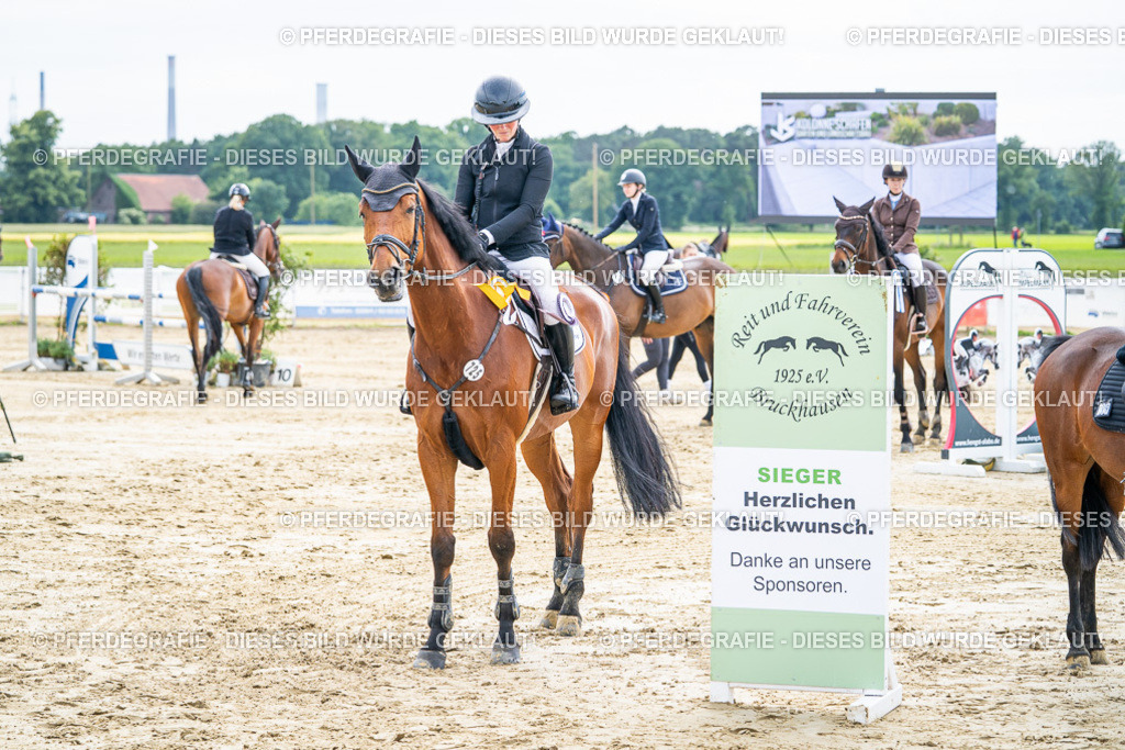 DSC05665 | Pferdegrafie