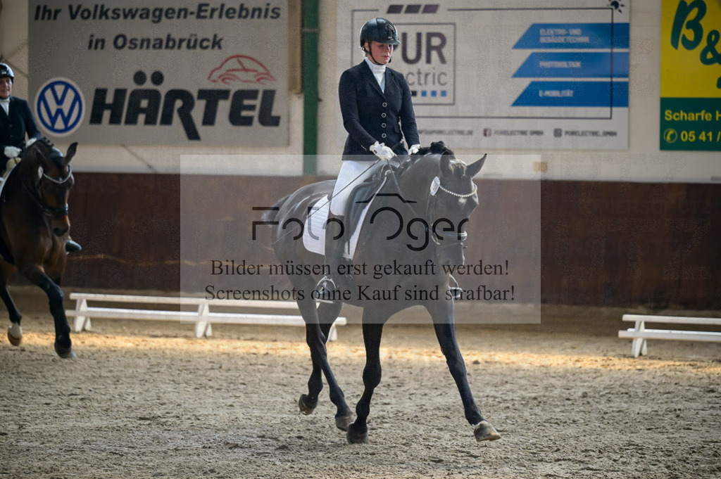 Reitturnier Voxtrup | Entdecke hochwertige Reitturnierfotos von Foto Oger. Professionell, emotional und authentisch – jetzt Lieblingsmomente im Shop bestellen.Deutschlandweite Turnierfotografie. - Realisiert mit Pictrs.com