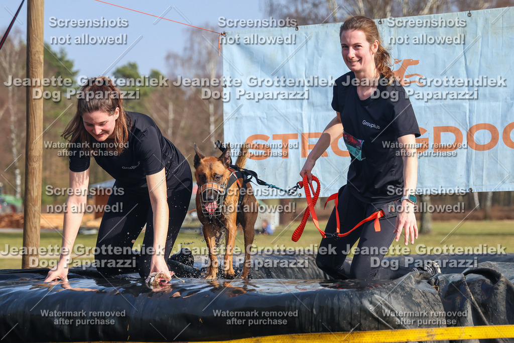 Dog Paparazzi - Strongdog North Mrz26-2826 | Dog Paparazzi Jeanette Grottendiek Fotografie & Videografie - Realisiert mit Pictrs.com