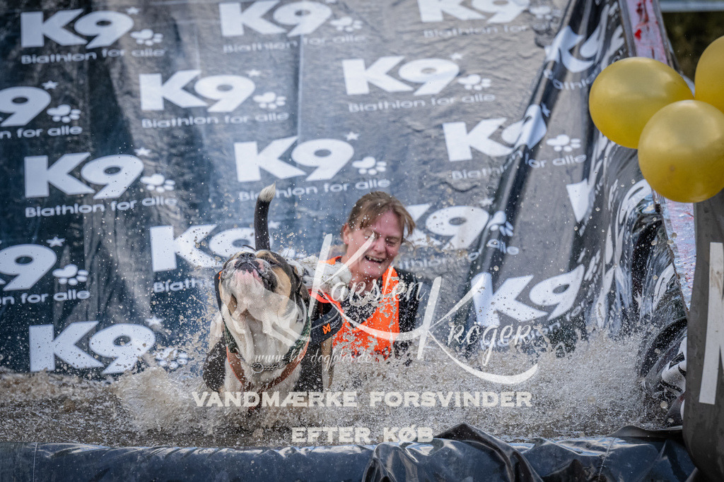 1517_ZZ94345 | kk-dogfotos