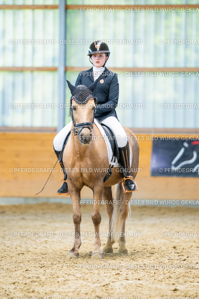 DSC07683 | Pferdegrafie