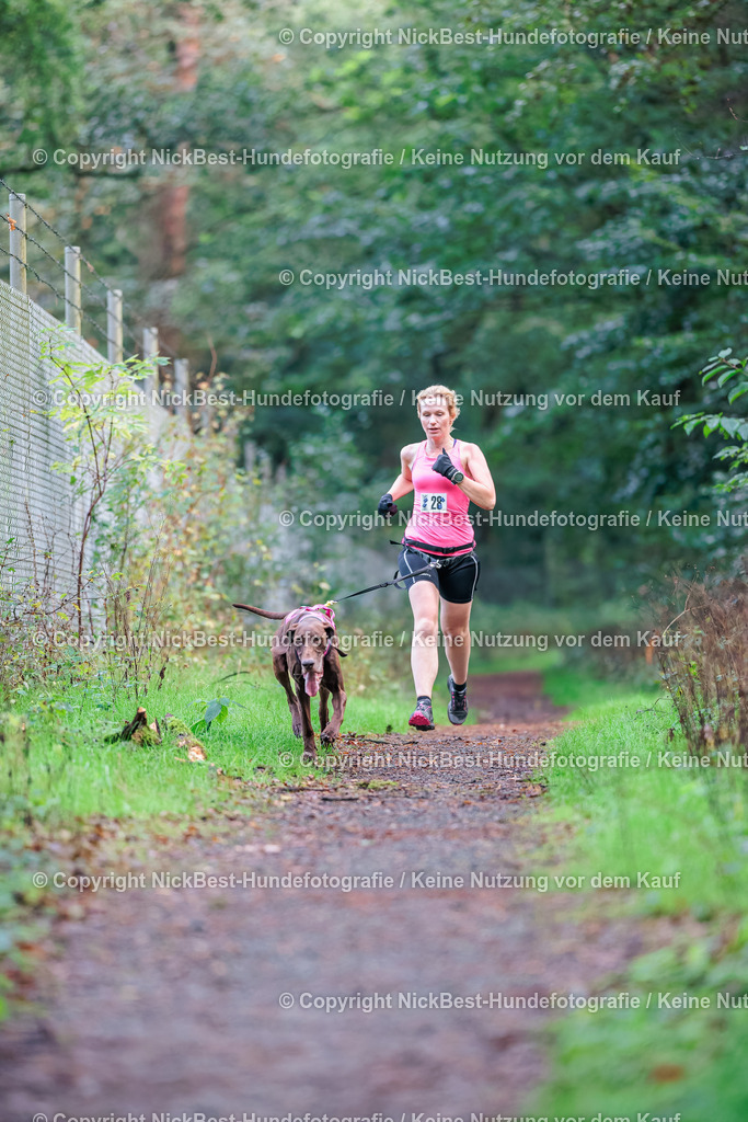 THS-HSV-Blumenthal-2026-Nickbest-Hundefotografie-0407 | Dein Hund! Dein Moment! Deine Erinnerungen! Hundefotografie in Bremen Blumenthal. Ich fange die besonderen Momente deines Vierbeiners ein – ob Indoor mit Blitzanlage oder in der freien Natur. Sicher dir dein Moment und dein Termin für eure Erinnerungen.