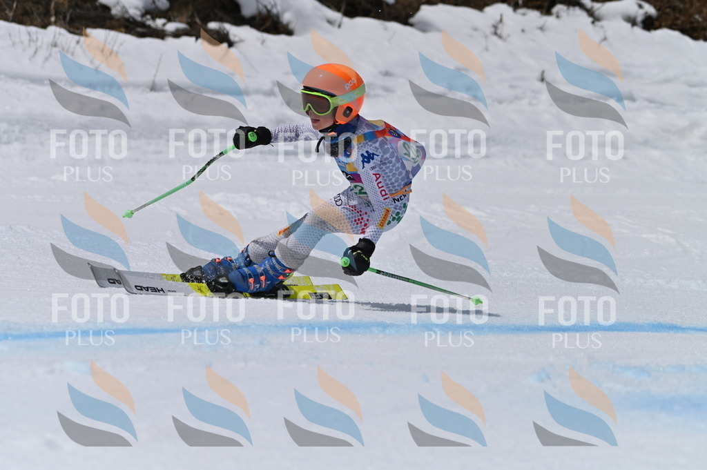 BGV_6379 | holidayphoto