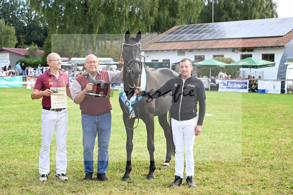 Kat-Nr. 23 Basics Zaubermaus H.S. v. Millennium_Sommer_30250653 | hf-fotografie - Realisiert mit Pictrs.com