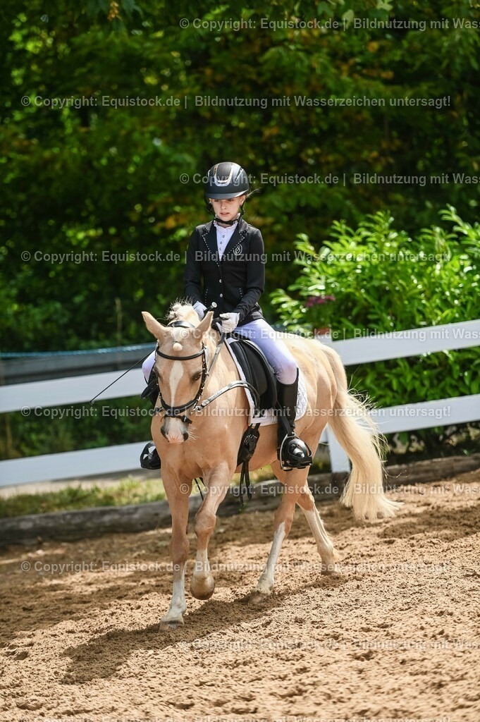20230716_10-3_Reiter-WB Schritt - Trab - Galopp_0115 | equistock