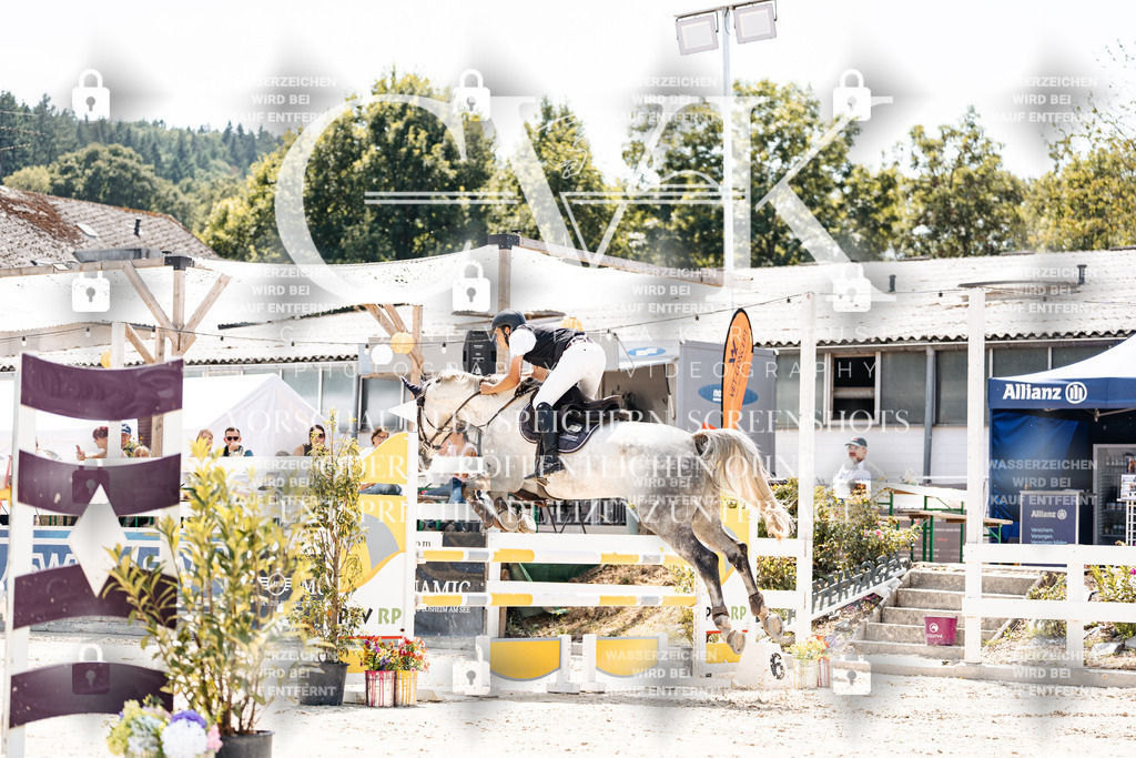CK907630 | Turnierfotografie Pferdefotografie Trier Rheinland-Pfalz Pferdesport Reitsport Tierfotografie Sportfotografie Pferdevideo Pferdevideografie Equestrianvideography equestrianphotography  - Realisiert mit Pictrs.com
