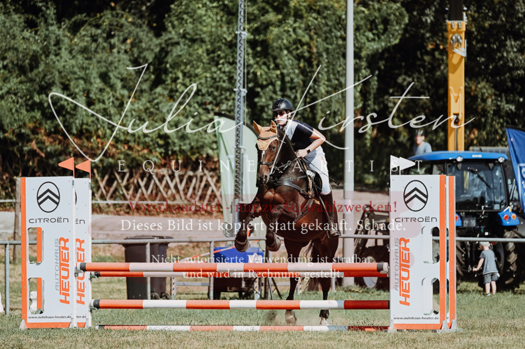 DSC_9648 | Pferde- und Turnierfotografie in Westsachsen. Pferdeportraits, Auftragszeichnungen und intuitive Kunst.