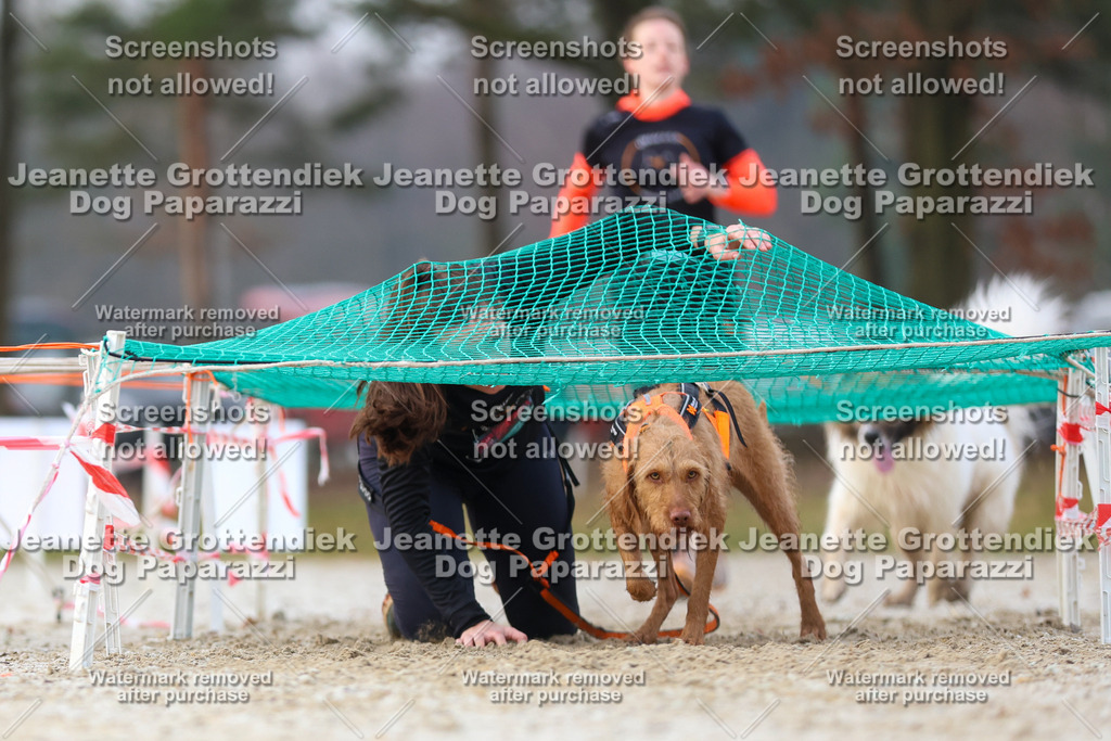 Dog Paparazzi - Strongdog North Mrz26-3680 | Dog Paparazzi Jeanette Grottendiek Fotografie & Videografie - Realisiert mit Pictrs.com