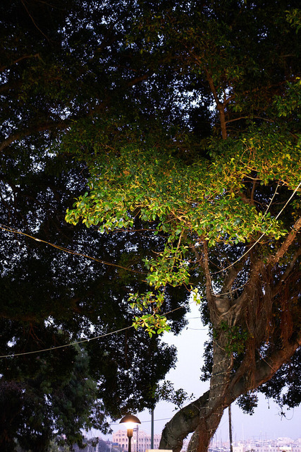 _XP31533-Malta4 | blende43