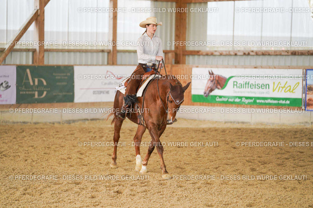 DSC01320 | Pferdegrafie